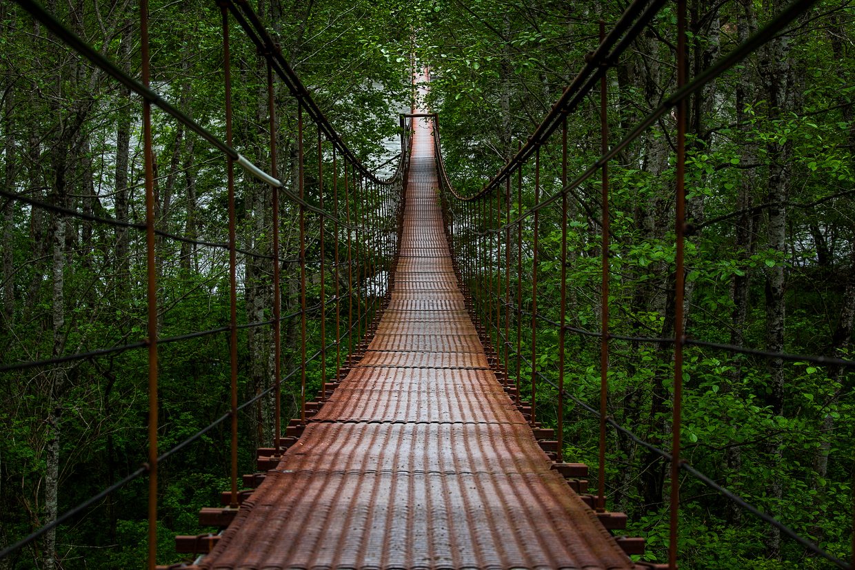 suspension bridge